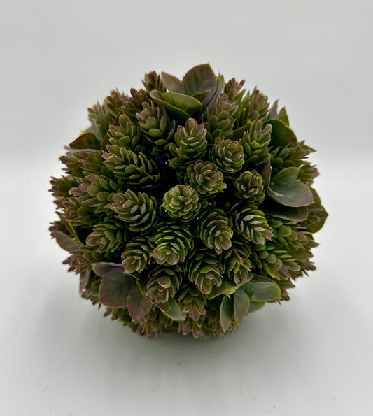 Succulent Orb