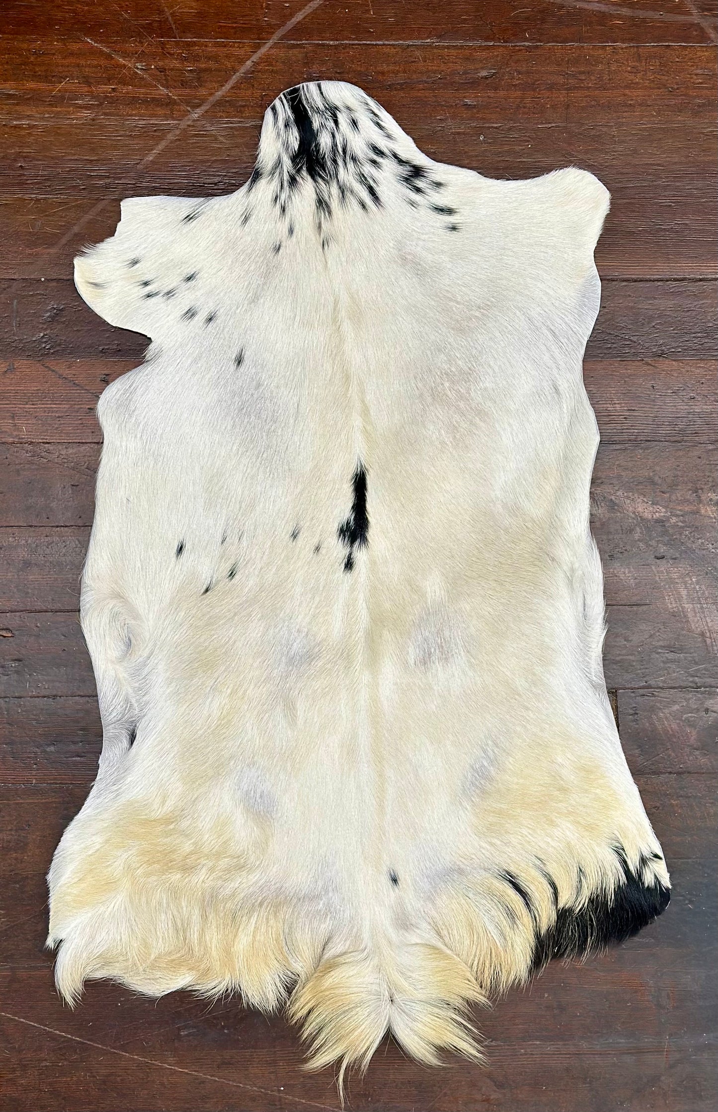 Black/White Goat Hide